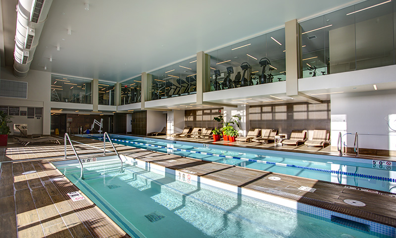 condo-fees-everything-you-need-to-know-condo-manager